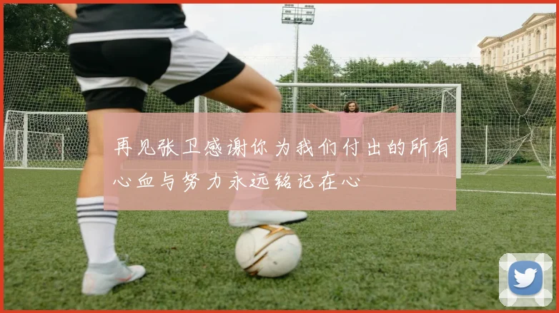 再见张卫感谢你为我们付出的所有心血与努力永远铭记在心