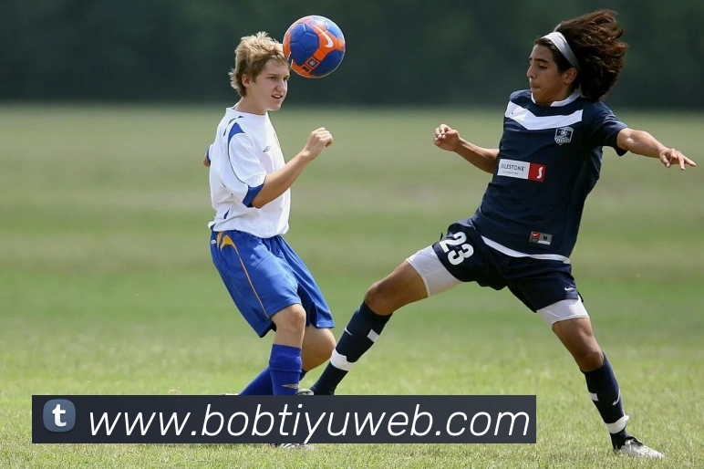 BOB体育平台生态图